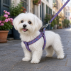 Small Breed Dog Cat Pet Walking Harness with Leash Soft Nylon