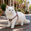 Small Breed Dog Cat Pet Walking Soft Nylon Harness with Leash
