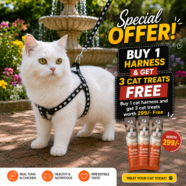 Small Breed Dog Cat Pet Walking Soft Nylon Harness with Leash