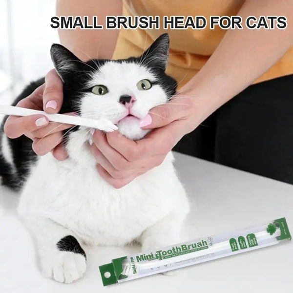 Cat Kitten Gums Oral Care Removes Pet Stains Whiten Toothbrush