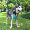 Front Clip Breathable Mesh Lightweight Harness Easy Control Outdoor Walking Vest Retractable