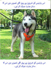 Front Clip Breathable Mesh Lightweight Harness Easy Control Outdoor Walking Vest Retractable