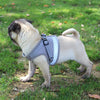 Mesh Harness with Leash Strap Pet Cat Dog Puppy Reflective Nylon