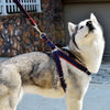 Denim Style Nylon Pet Harness with Leash Strap