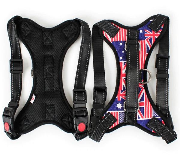 Harness Front Clip Pet Dog Adjustable Breathable Mesh Lightweight Easy Control for Outdoor Training