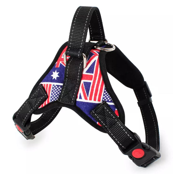 Harness Front Clip Pet Dog Adjustable Breathable Mesh Lightweight Easy Control for Outdoor Training