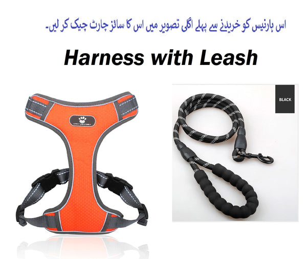 Front Clip Breathable Mesh Lightweight Harness Easy Control Outdoor Walking Vest Retractable