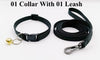 Pet Cat Kitten Leash Adjustable Neck Collar with Golden Bell