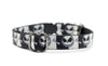 Cat collar with black and white skull and crossbones pattern on a white background