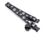 Premium Quality Nylon Cat Kitten Neck Collar Paw Pattern with Big Bell