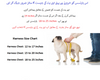 Dog Pet Puppy Adjustable Harness Set Reflective Blue Braided Traction Nylon Rope