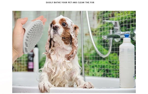 Pet Slicker Brush Dog Grooming Comb Pet Grooming Gloves