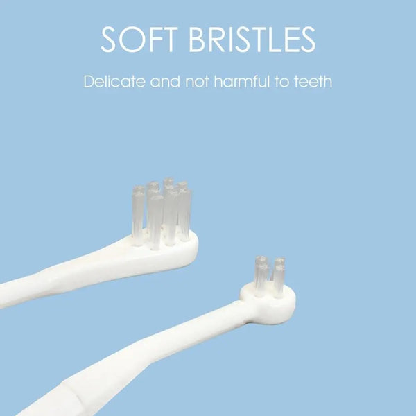 Pet Cat Kitten Tooth Paste Vanilla Flavor With Tooth Brush For Healthy Teeth Oral Care Removes Pet Stains Whiten