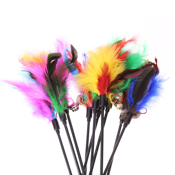 Black Plastic Teaser Stick with Feather Cat Kitten Toy