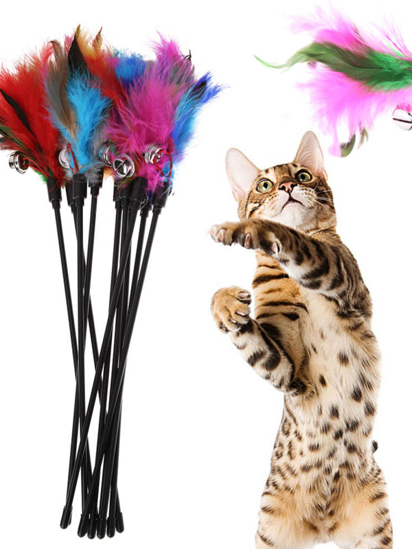 Black Plastic Teaser Stick with Feather Cat Kitten Toy
