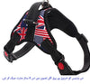Harness Front Clip Pet Dog Adjustable Breathable Mesh Lightweight Easy Control for Outdoor Training