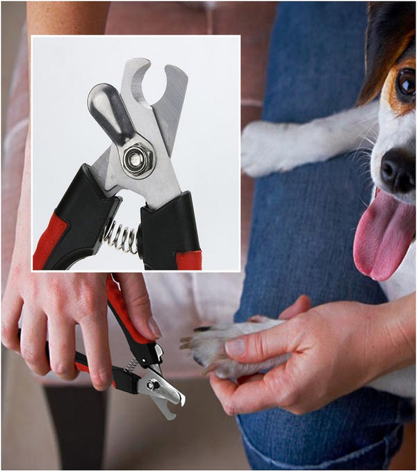 Cat Nail Clipper Cutter Pets Toe Care Stainless Steel Scissors Grooming Trim with Nails Filer